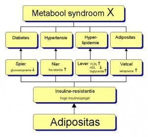 metabool syndroom