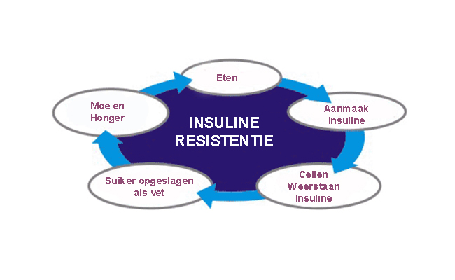 Insulineresistentie Nederland Slank
