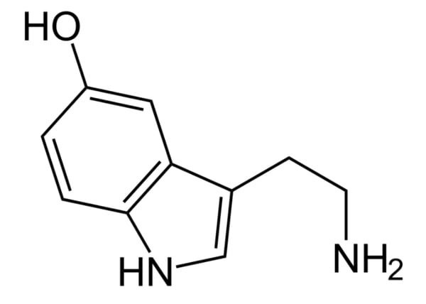 serotonine