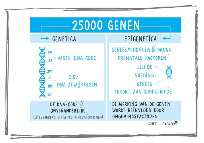 Wat is epigenetica
