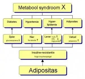 metaboolsyndroom-bij-schizofrenie
