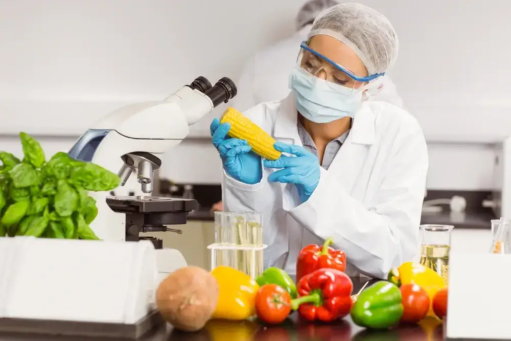 Food-scientist-looking-at-corn-cob-at-the-university-1