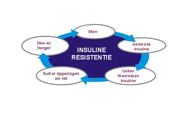 Insulineresistentie1