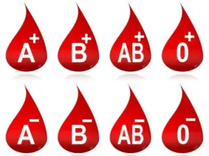 bloedgroepen
