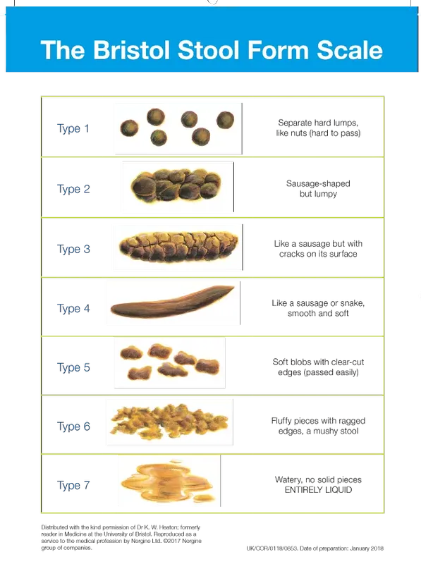Bristol-Stool-Chart