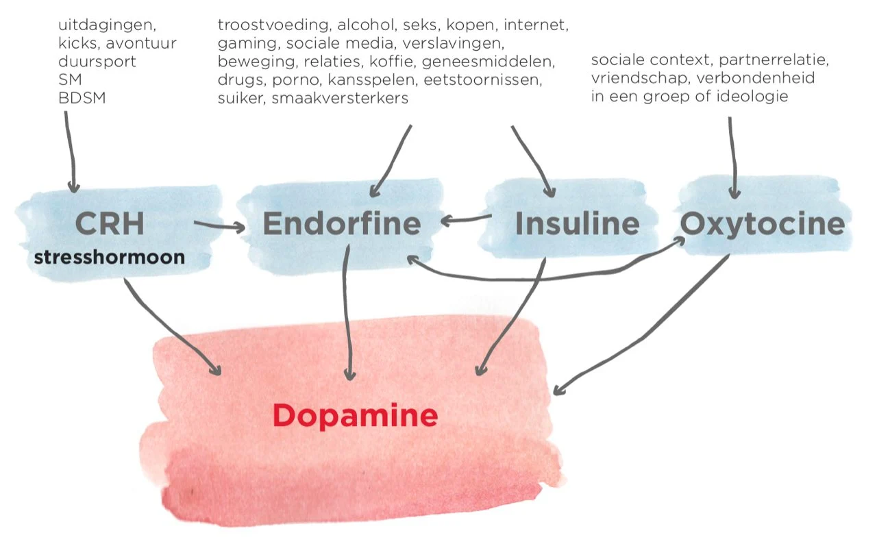 Endorfine-systeem bij Parkinson-klachten