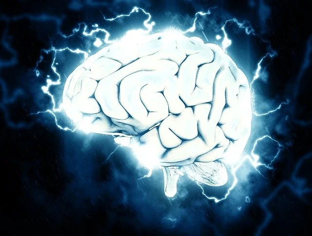 Electrisch brein