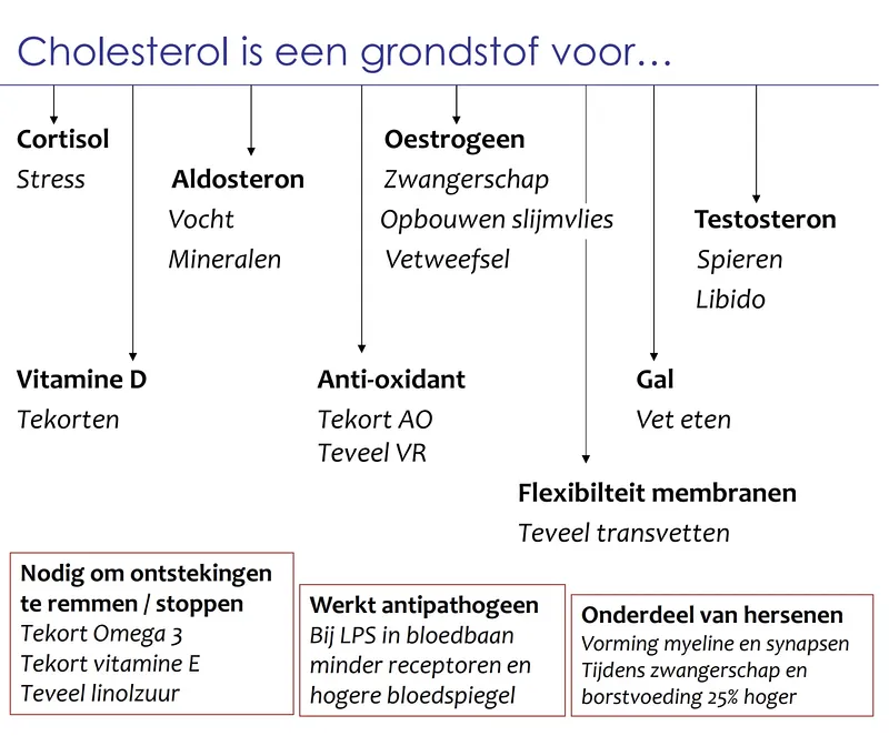 cholesterol graphic