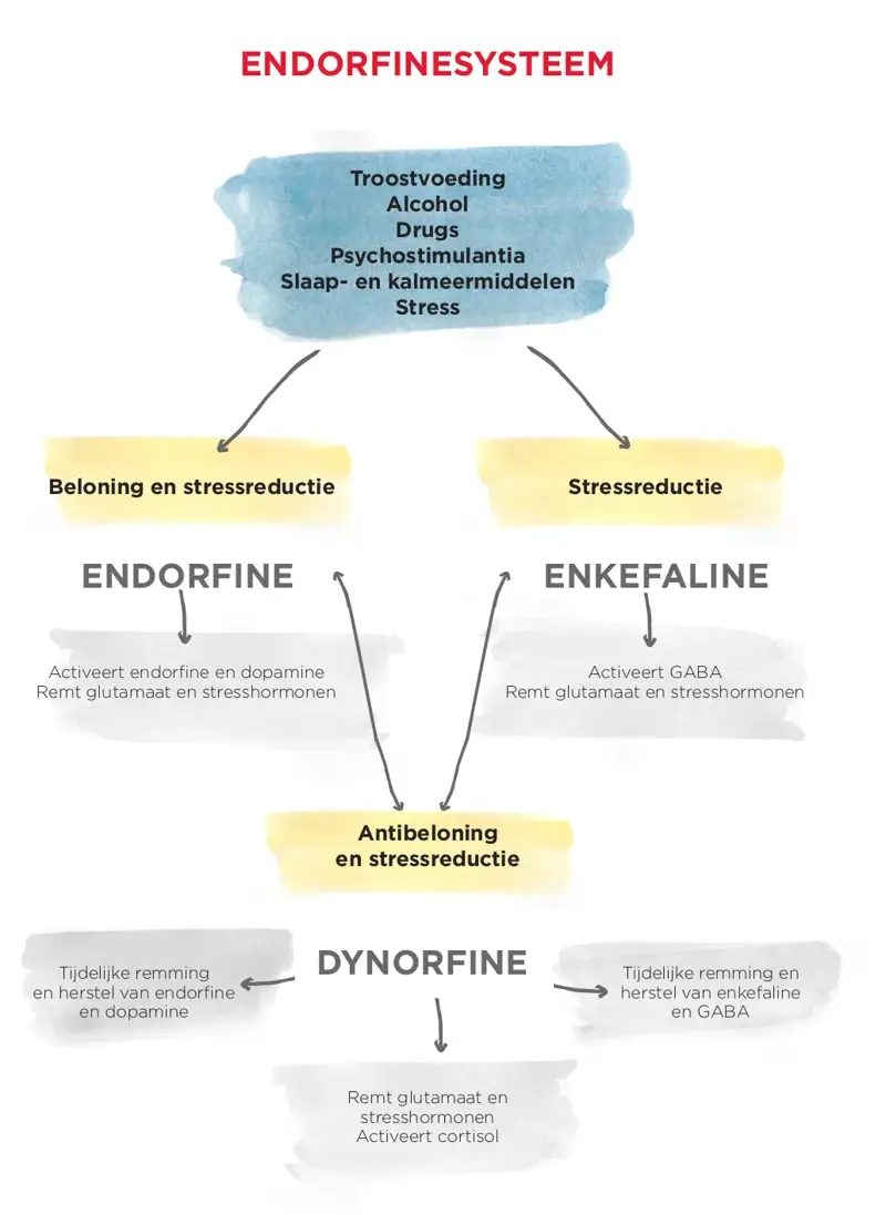 Over neurotransmitters en gelukshormonen