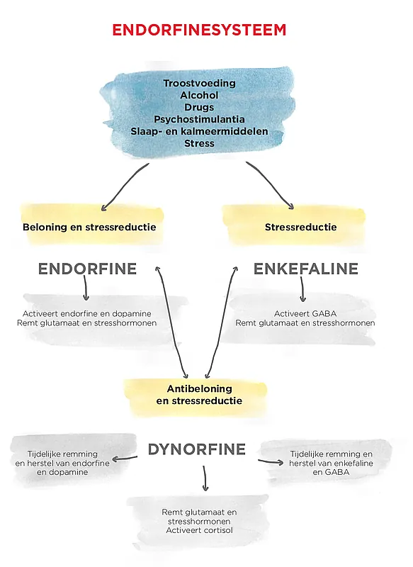 exorfinen-systeem