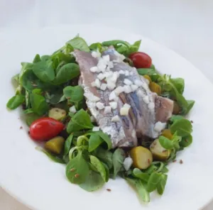 frisse-salade-met-haring-300x296