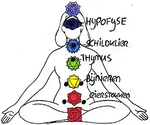 hormoonbalans en chakras