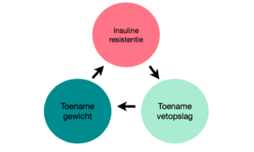 Insulineresistentie schema