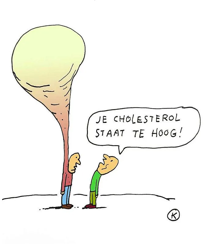je-cholesterol-is-te-hoog