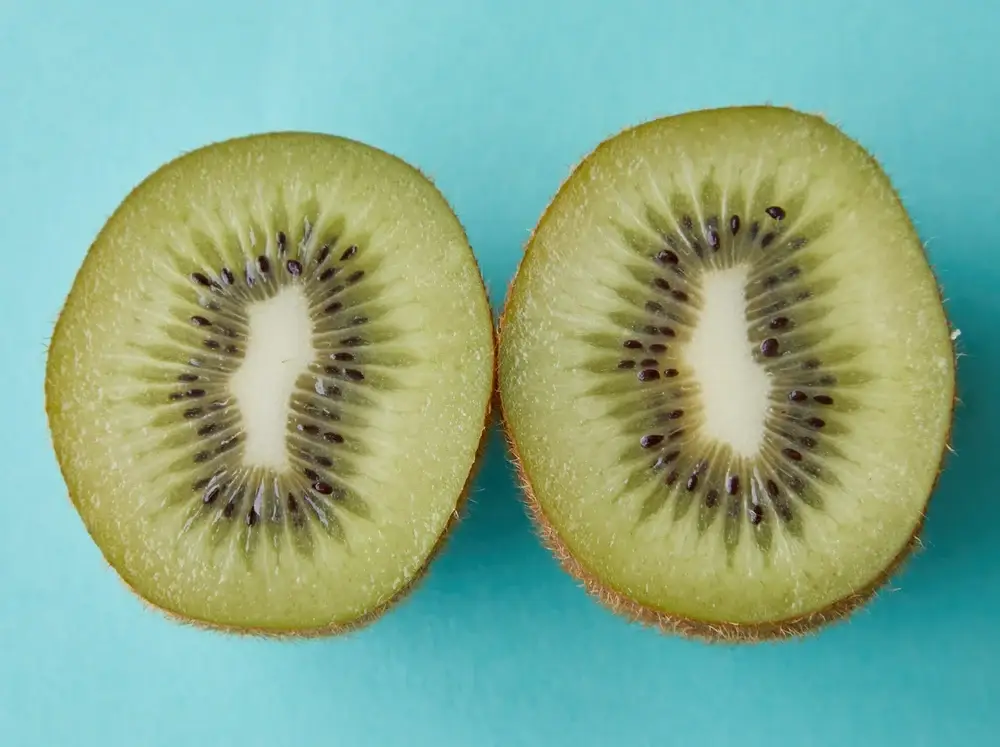 kiwi-1