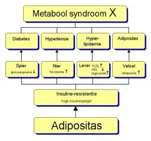 Wat is het metabool syndroom?