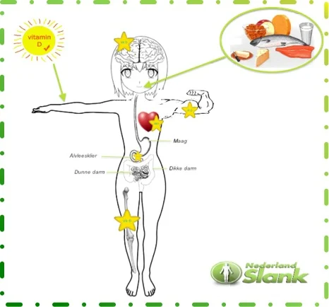 opname vit D3