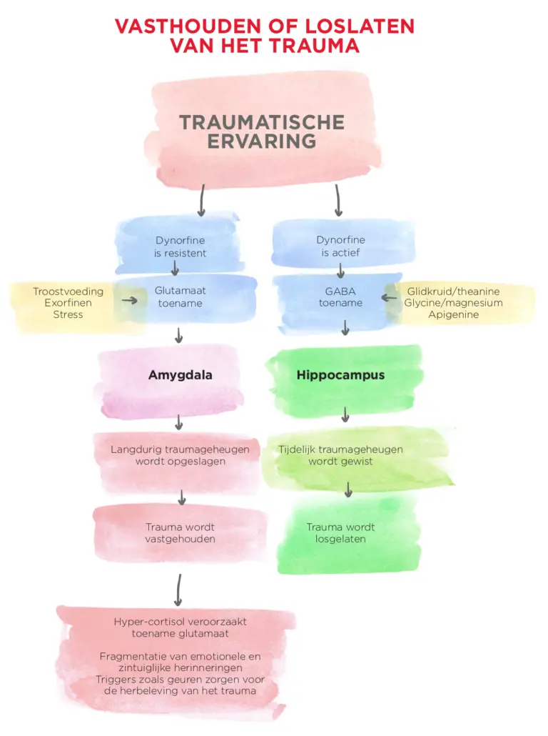 reactie-op-trauma-