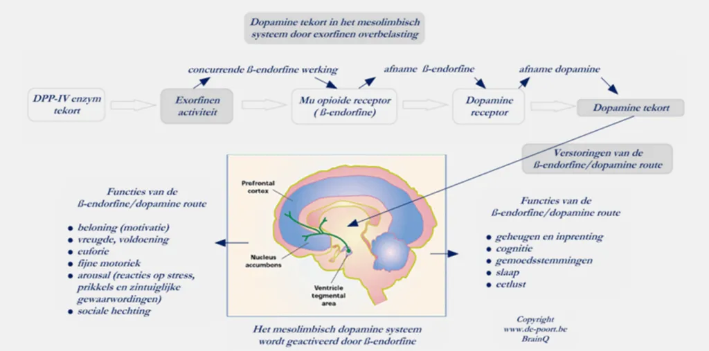 schema-systeem