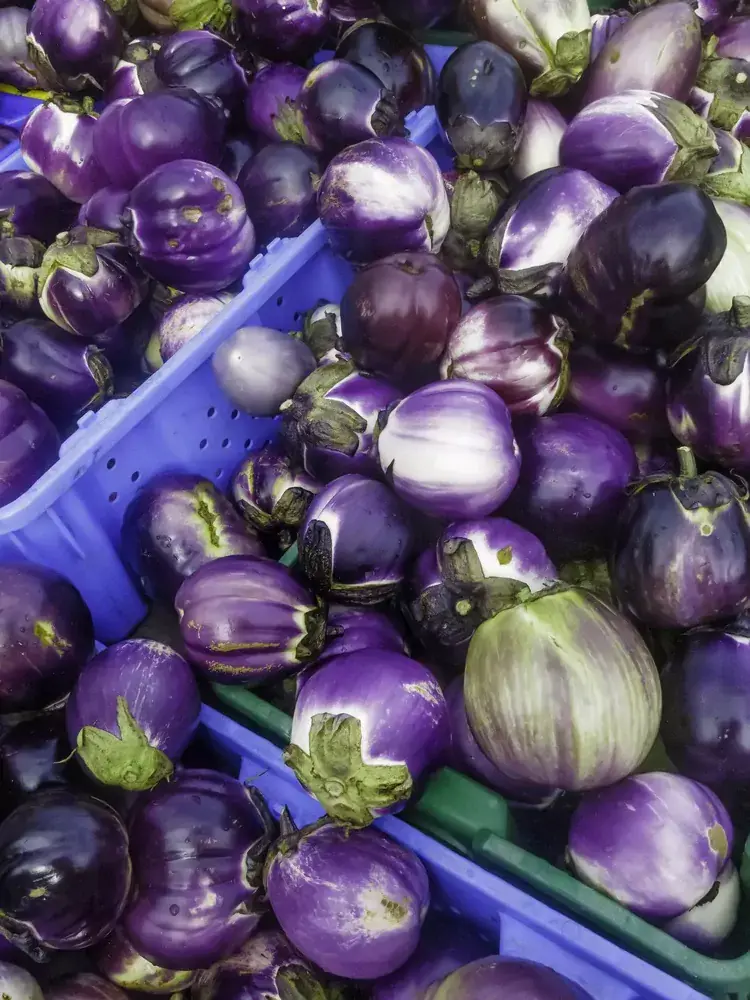 Groente caponata heerlijk Siciliaans gerecht