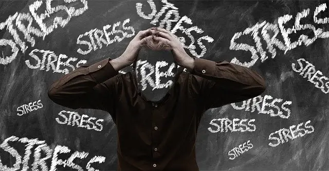 Het effect van stress en cortisol op het lichaam