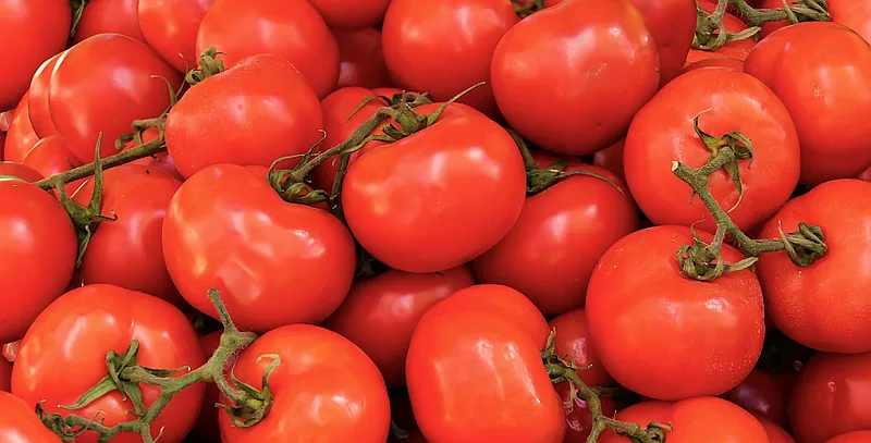 Zijn tomaten gezond?