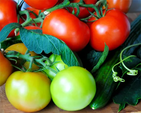 tomatenkomkommer2